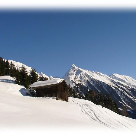Ferienwohnungen Kroll - Appartements Viktoria Und Landhaus Maria Mayrhofen Exterior foto