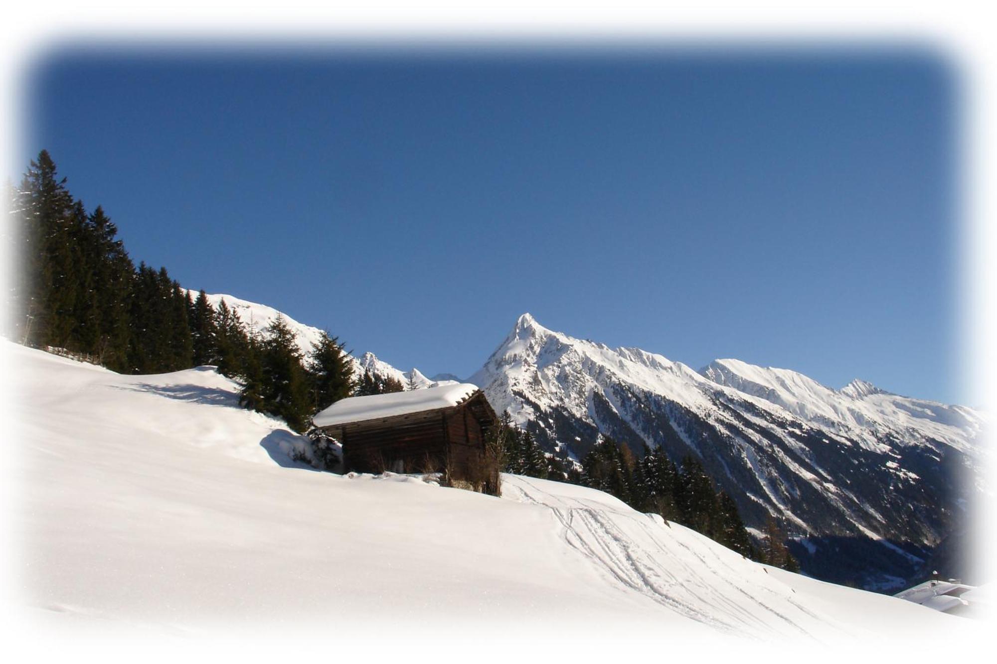 Ferienwohnungen Kroll - Appartements Viktoria Und Landhaus Maria Mayrhofen Exterior foto